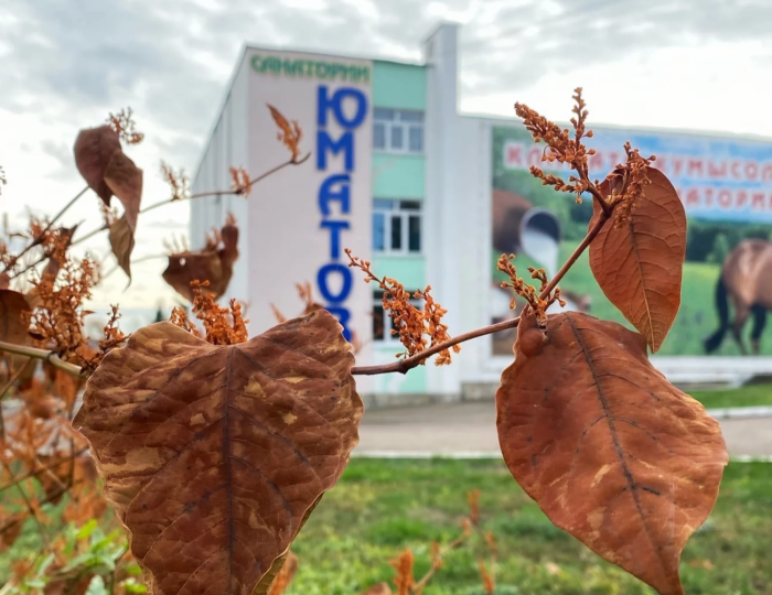 Санаторий «Юматово» Башкортостан